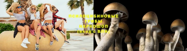 apvp Корсаков
