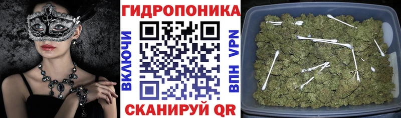 Купить закладки  Калининск  МАРИХУАНА MAZAR 